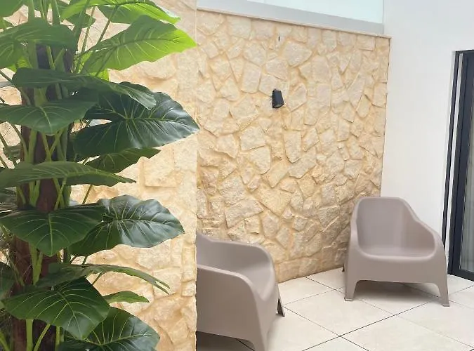 Apartament T1 Com Patio *